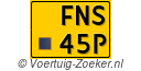 FNS-45-P