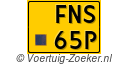 FNS-65-P