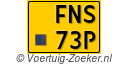 FNS-73-P