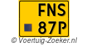 FNS-87-P