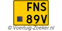 FNS-89-V