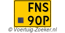 FNS-90-P