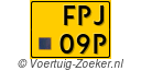 FPJ09P