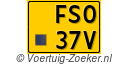 FS-037-V