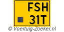 FSH31T