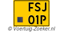 FSJ-01-P