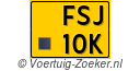 FSJ-10-K