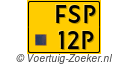 FSP-12-P
