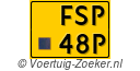 FSP-48-P
