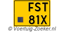 FST-81-X