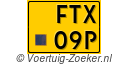 FTX-09-P