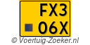 FX306X