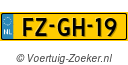 FZGH19