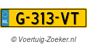 G313VT