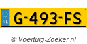 G493FS
