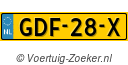 GDF28X