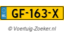 GF163X