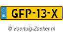 GFP13X