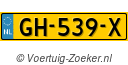 GH539X