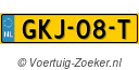 GKJ-08-T
