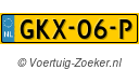 GKX06P