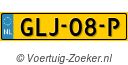 GLJ08P