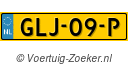 GLJ09P