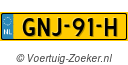 GNJ91H