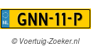 GNN11P