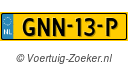GNN13P