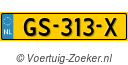 GS313X