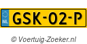 GSK02P