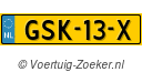 GSK13X