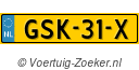 GSK31X