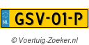 GSV01P