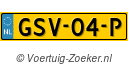 GSV04P