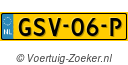 GSV06P