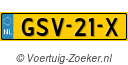 GSV21X