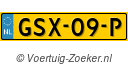 GSX09P