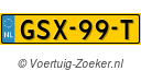 GSX99T
