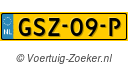 GSZ09P