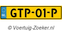 GTP01P
