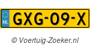 GXG09X