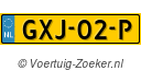 GXJ02P
