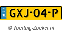 GXJ04P