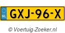 GXJ96X