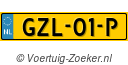 GZL01P