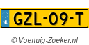 GZL09T