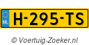 H295TS