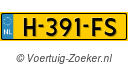 H391FS